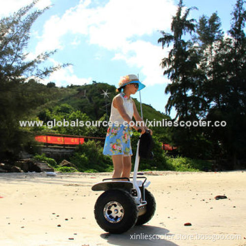 2014 brand new 2 wheel stand up electric scooter